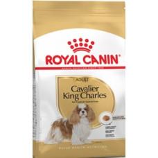 Royal Canin Dog Breed Cavalier King Charles 